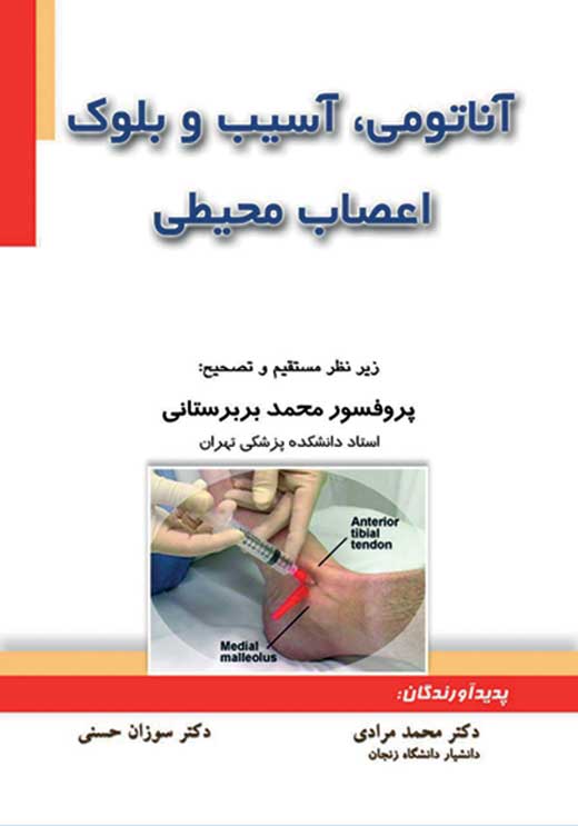 آناتومی، آسیب و بلوک اعصاب محیطی